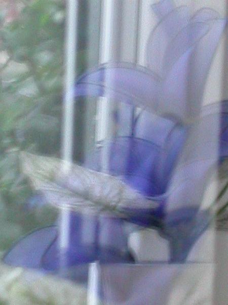 Blue Abstract.jpg